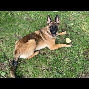 Meet your Posher, Daniel